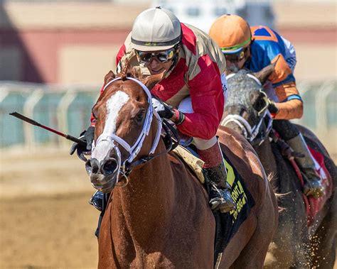 distance of belmont stakes|The Belmont Stakes .